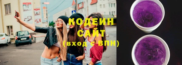 дмт Елабуга
