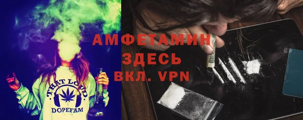 дмт Елабуга