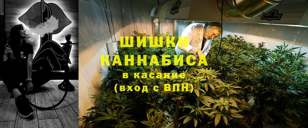скорость Ельня