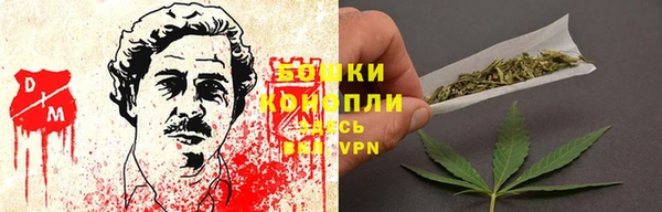 скорость Ельня