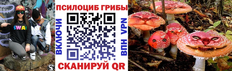 Купить закладки  Первомайск  Псилоцибиновые грибы ЛСД 